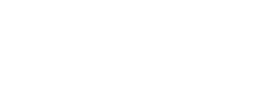 Bears And Company